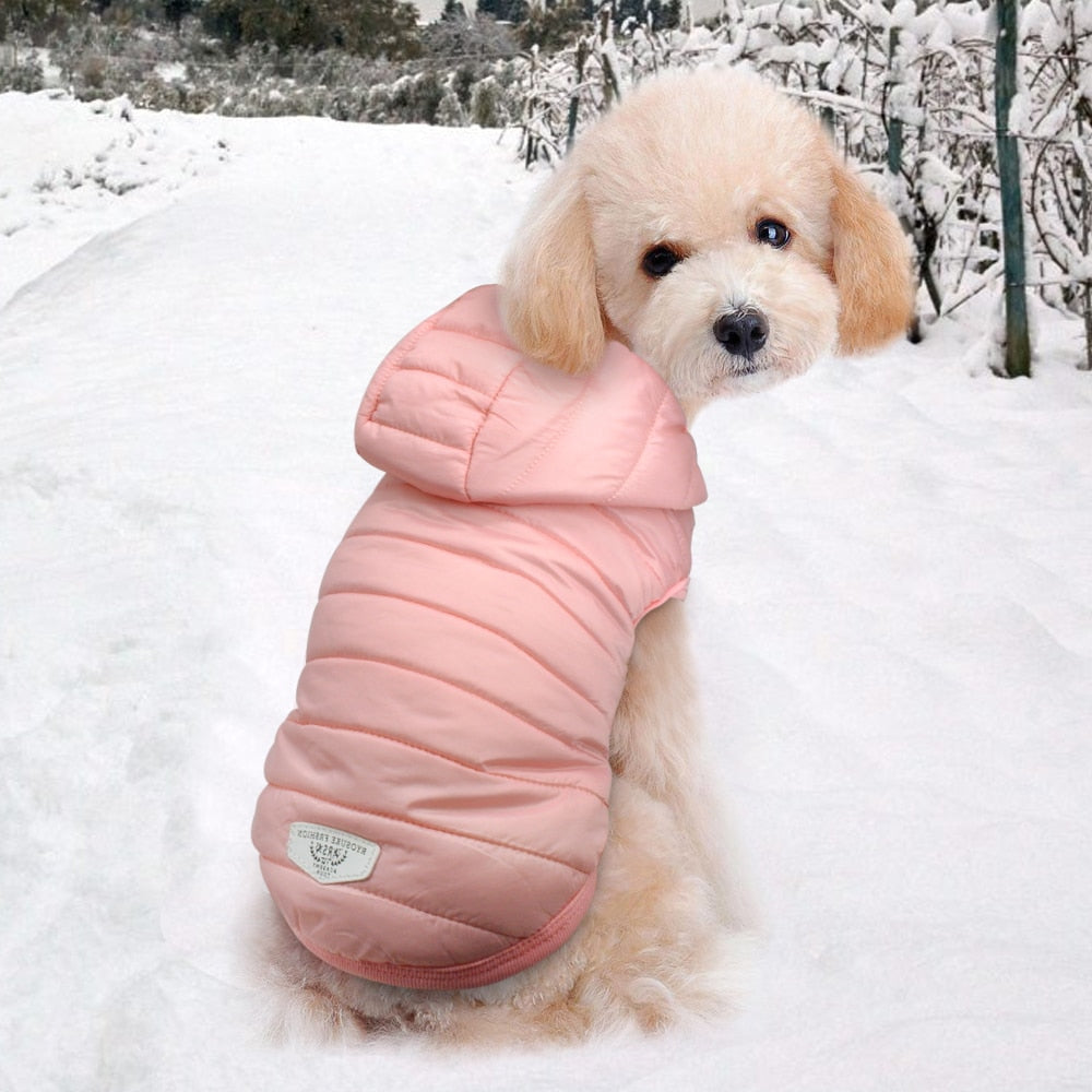 Puppino Jacket