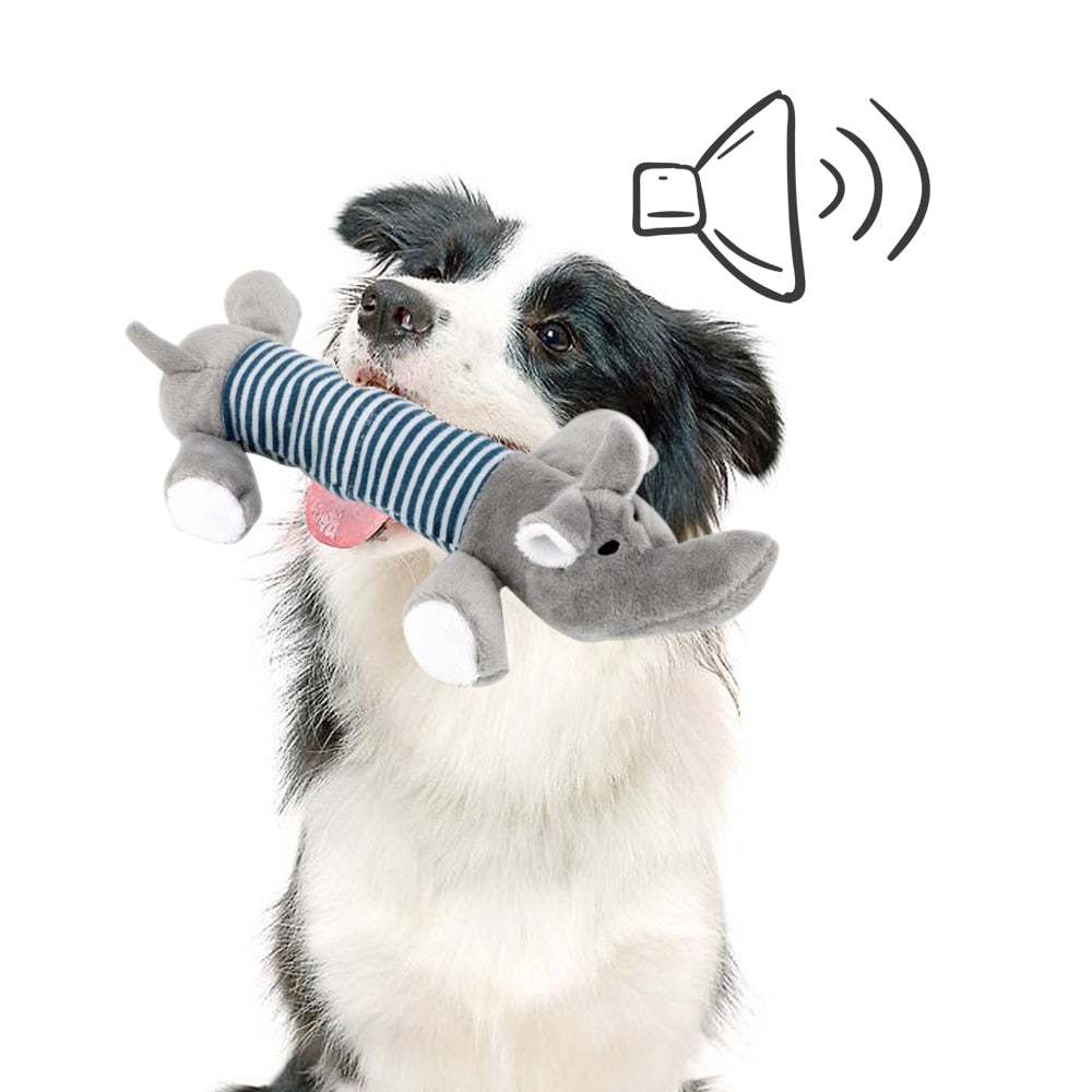 Squeak Chew Dog