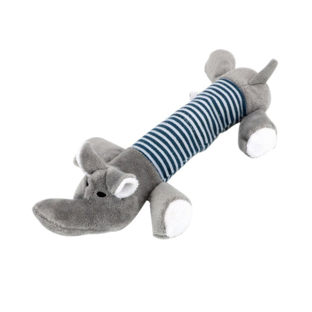 Squeak Chew Dog
