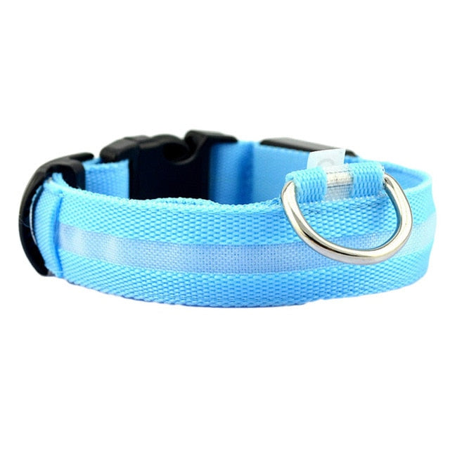 Glowing  Collar