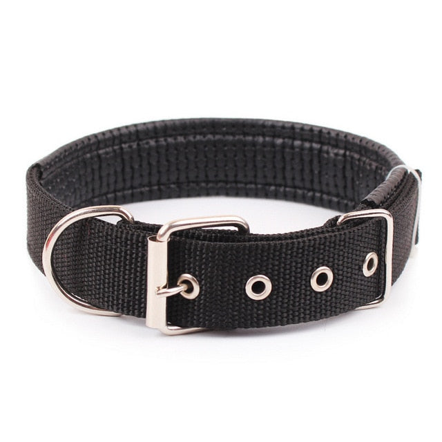 CONLEY Collar