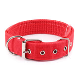 CONLEY Collar