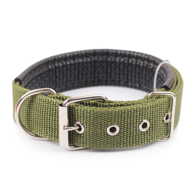 CONLEY Collar