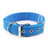 CONLEY Collar
