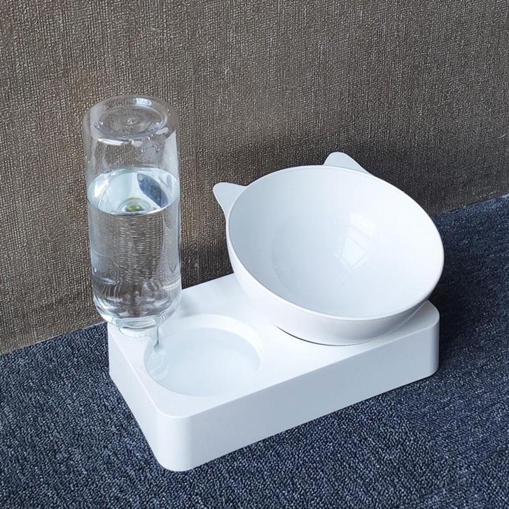 Automatic feeder