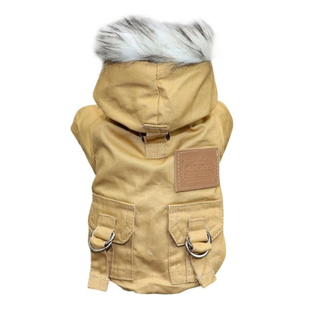 Cosmo Jacket