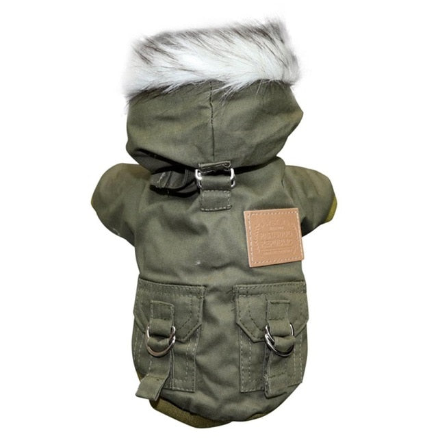 Cosmo Jacket