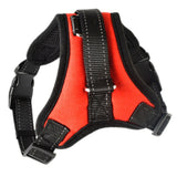 Rodman harness