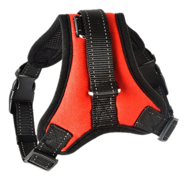 Rodman harness