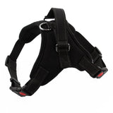 Rodman harness