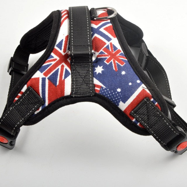 Flag harness