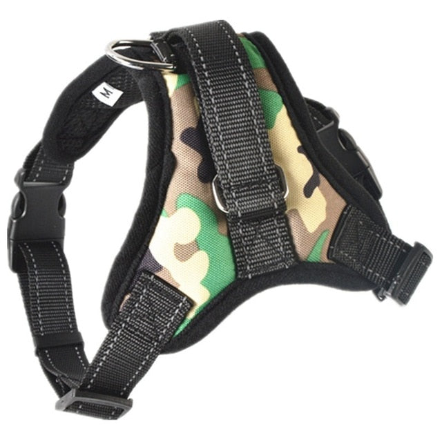 Camouflage harness