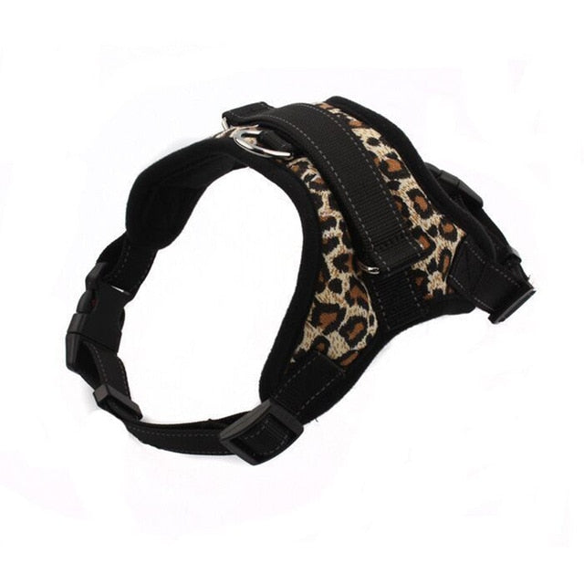 Leopard harness