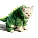 Dinosaur costume