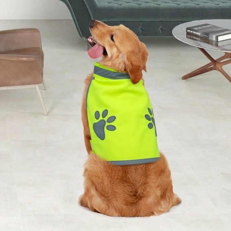 Reflective Vest
