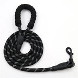 RIO Leash