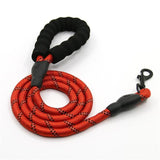 RIO Leash