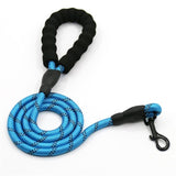 RIO Leash