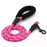 RIO Leash