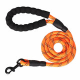 RIO Leash