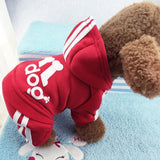 Adidog Sportswear