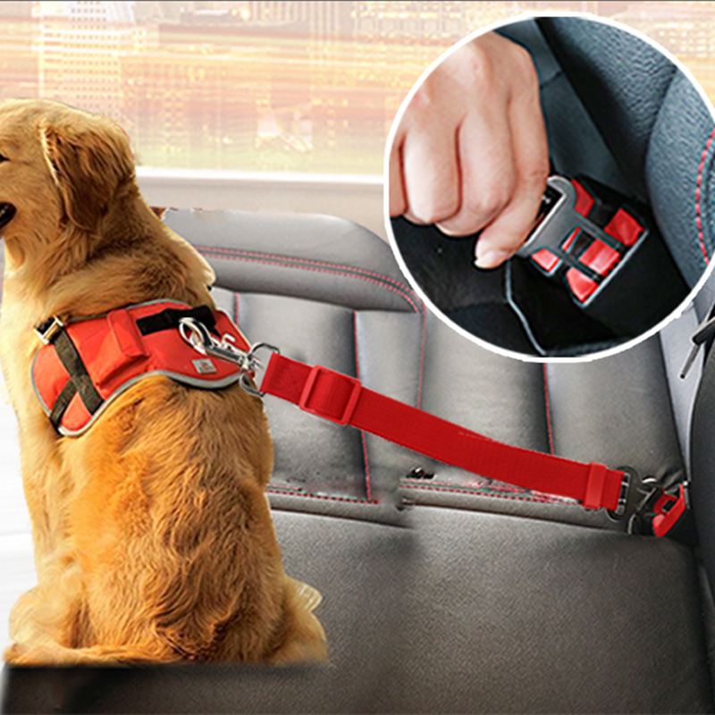 Car Seat Belt
