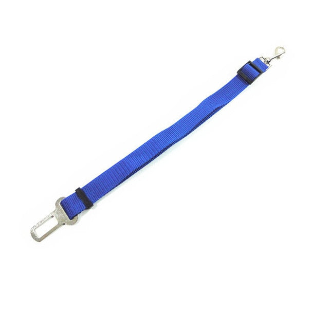 Car Seat Belt