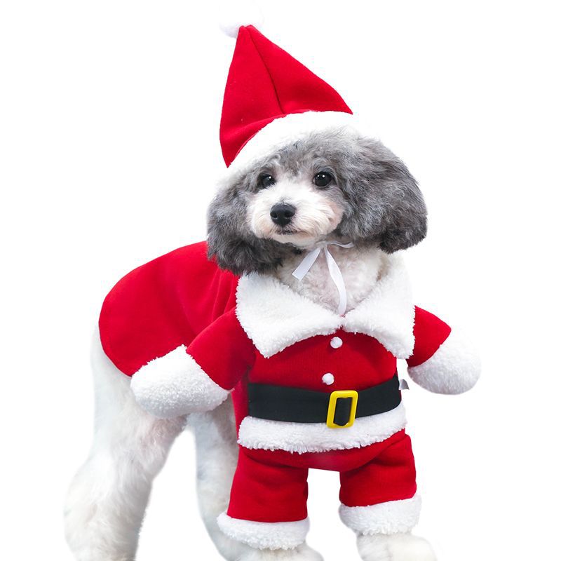 Santa Claus