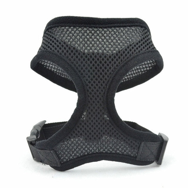 Snicker Harness